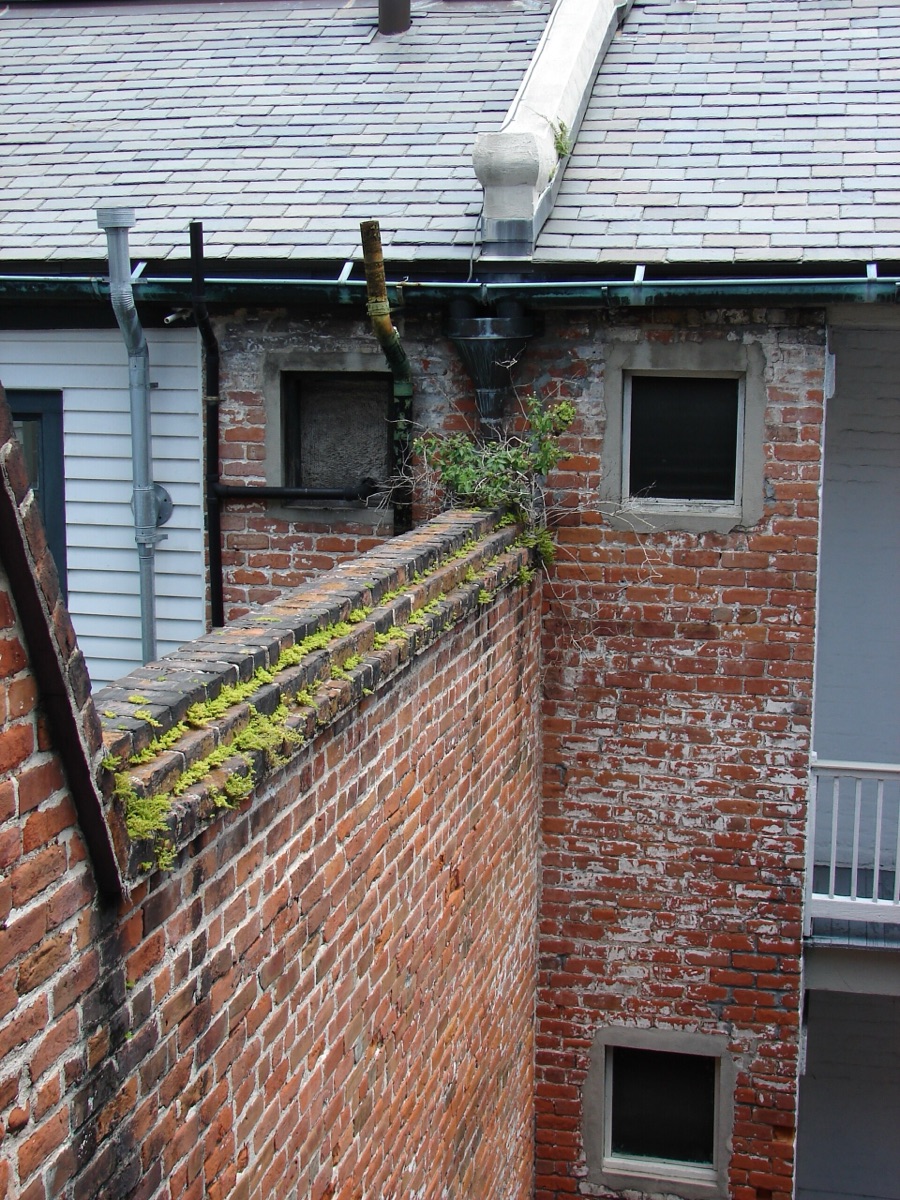 How to Clean Gutters Without Falling Off the Ladder