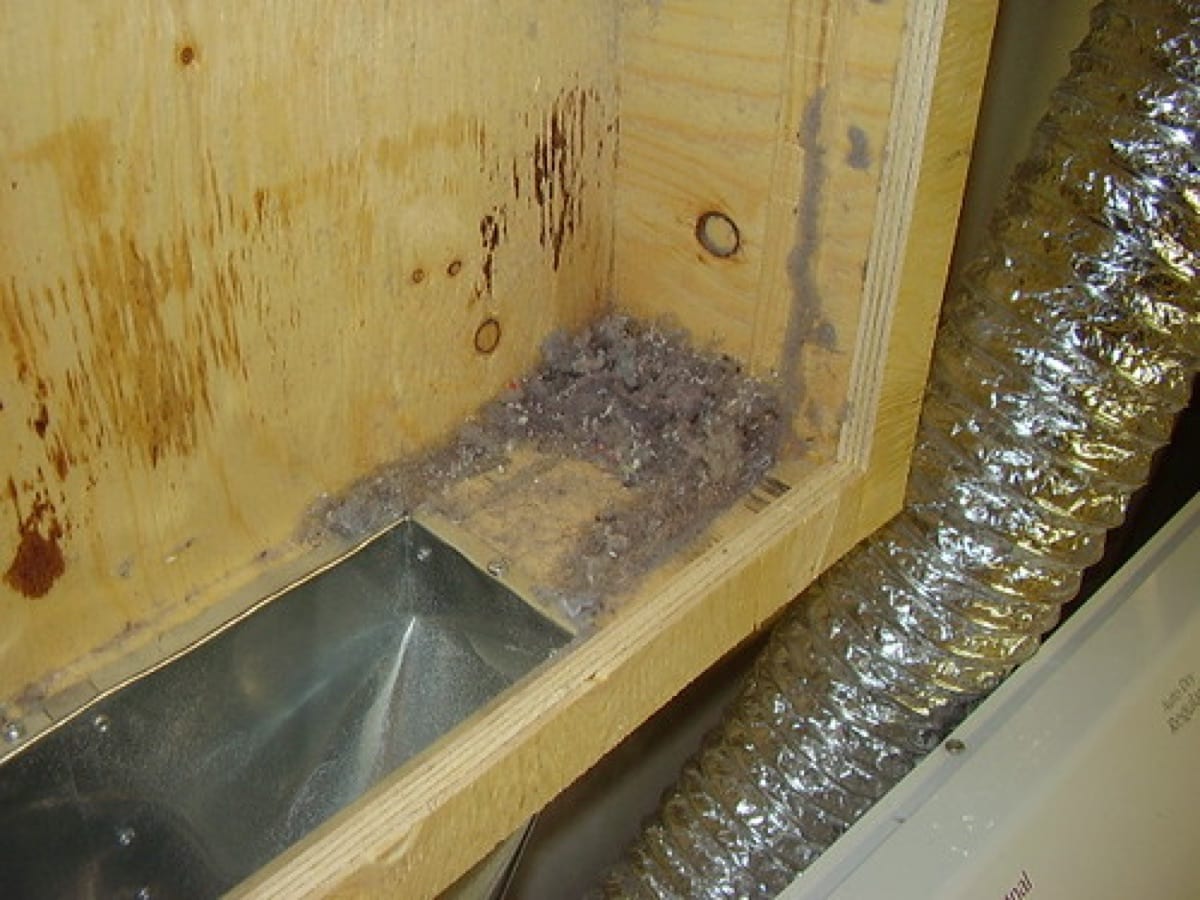 Grey lint packed in a wall cavity beside a flexible foil dryer duct
