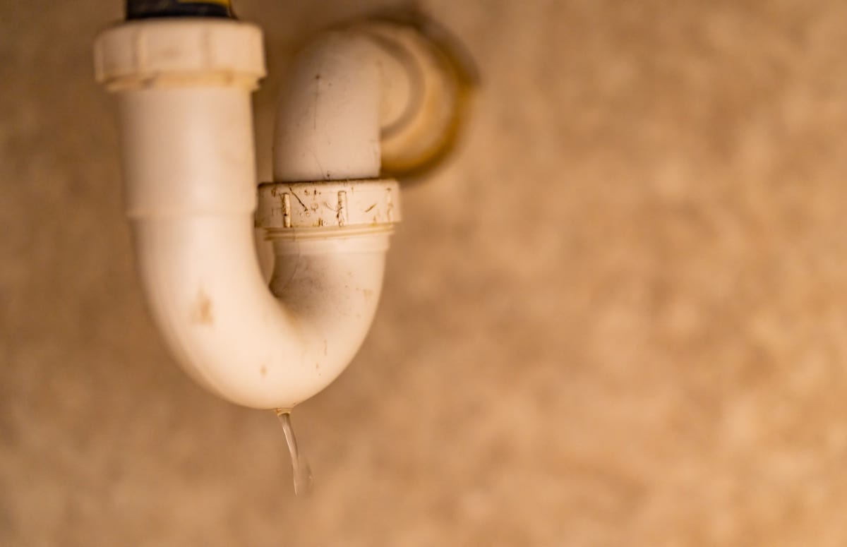 A white PVC P-trap under a sink with water beading at the bend