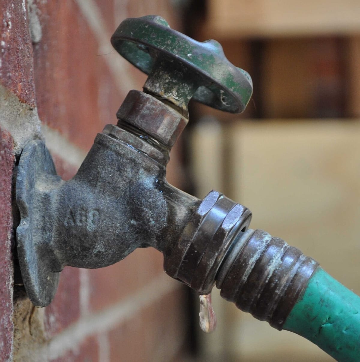 A brass outdoor hose bib on a brick wall with a garden hose still screwed on and a drip hanging from the connection