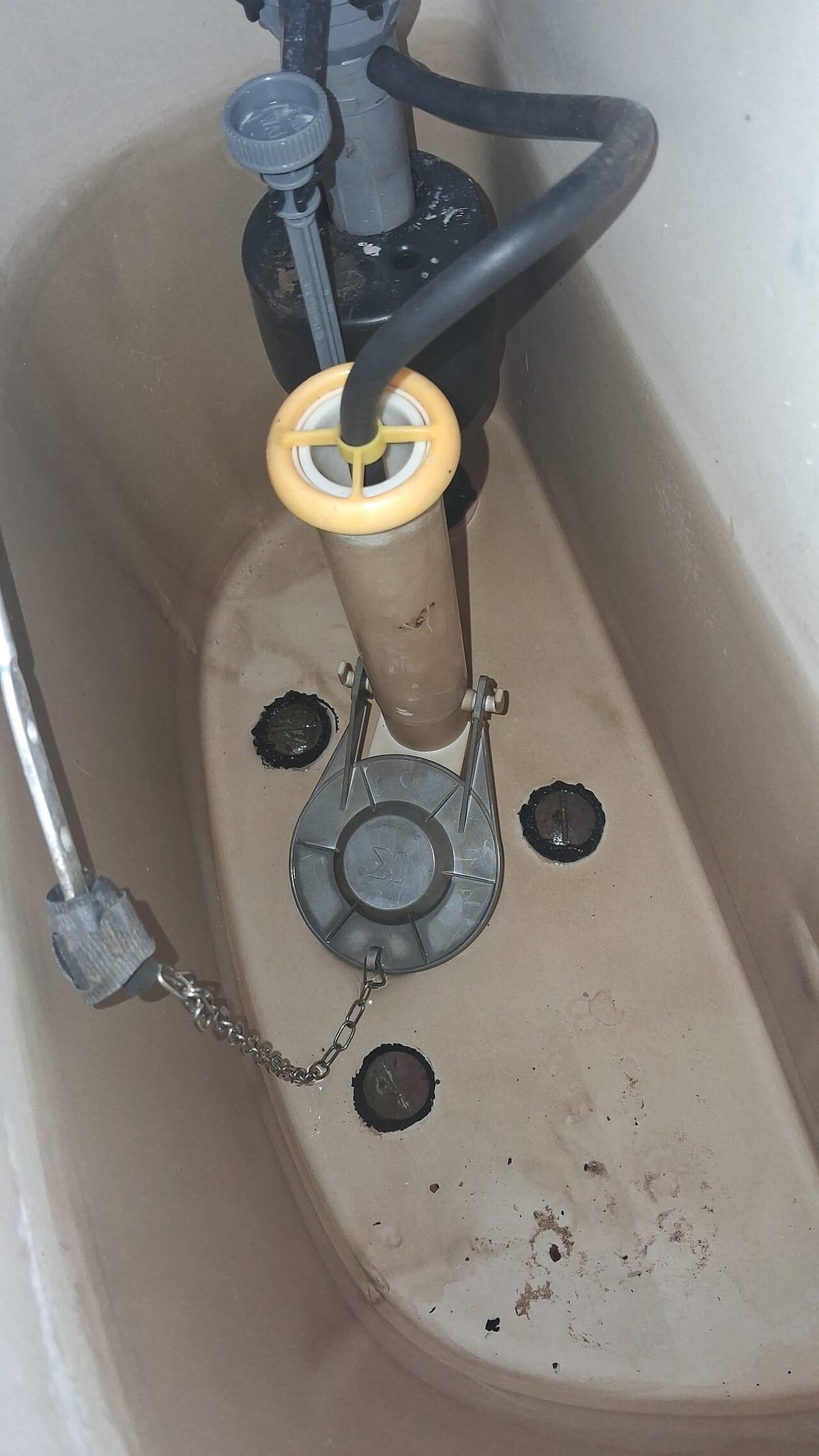 The flush valve, overflow tube, and flapper chain inside a toilet tank