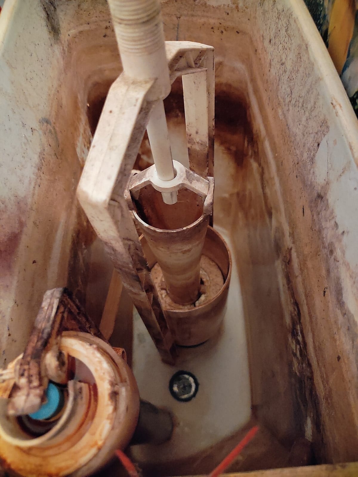 Inside of a toilet tank showing the fill valve, flush valve, and mineral staining